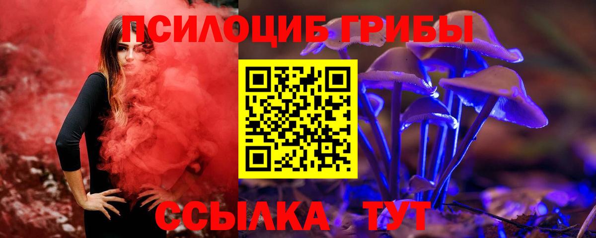 Псилоцибиновые грибы мицелий Дзержинский